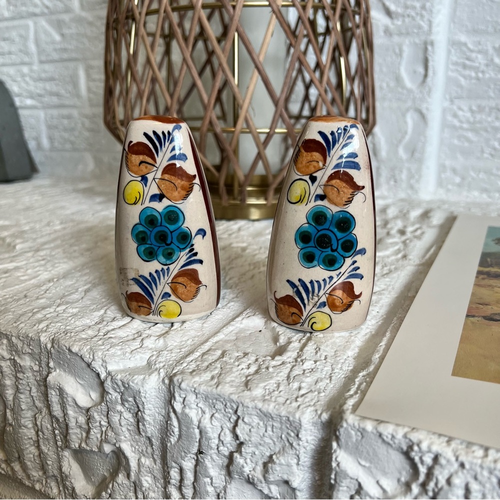Tonala Hand Painted Floral Pottery Salt and Pepper Shakers Mexico